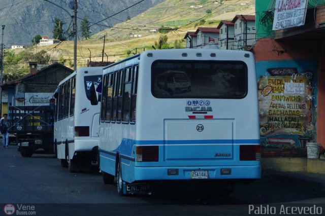 L�nea Cultura 25 por Pablo Acevedo