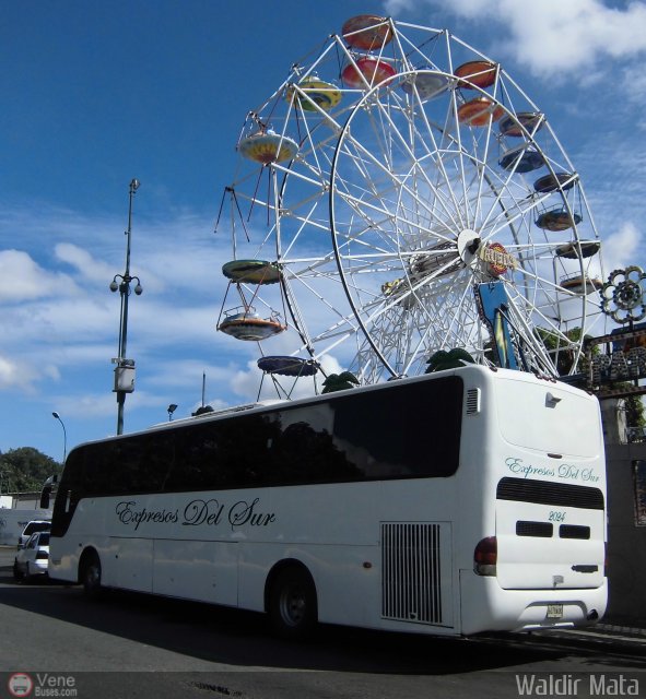 Expresos Del Sur 2024 por Waldir Mata