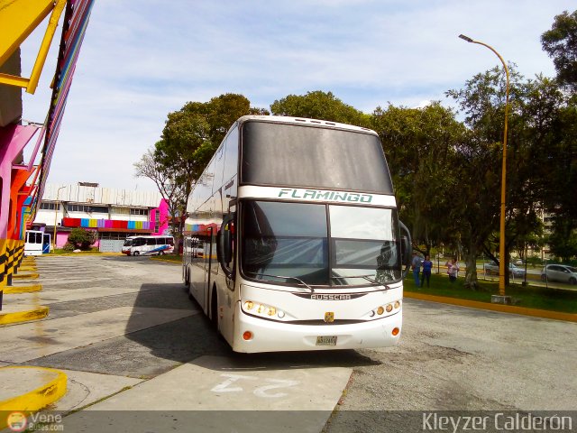 Expresos Flamingo 0090 por Kleyzer Caldern