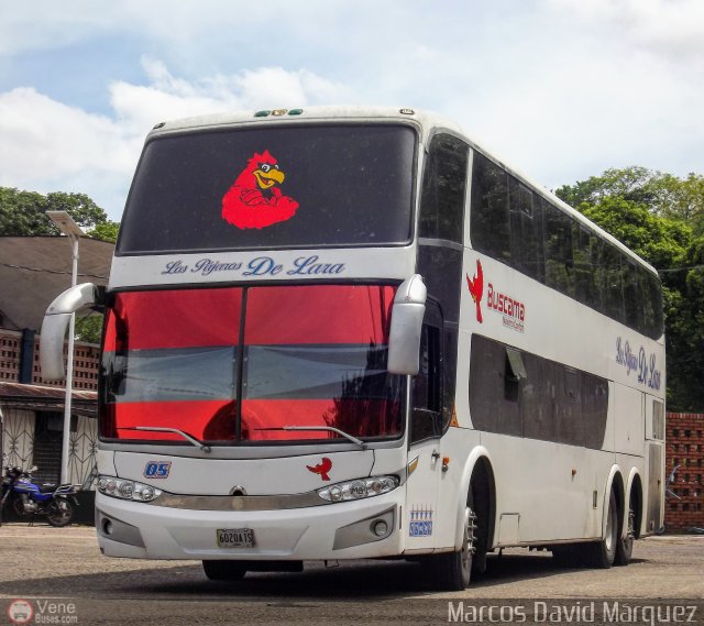 Los P�jaros de Lara 005 por Marcos David M�rquez