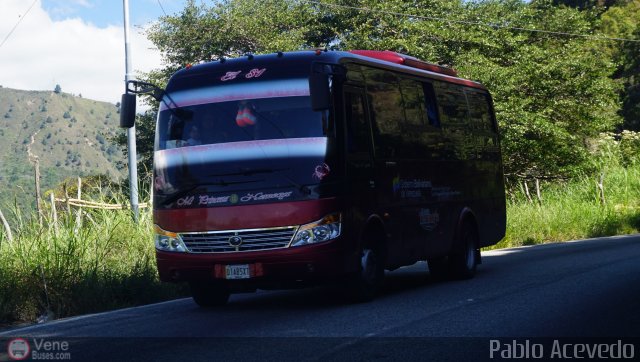 Particular o Desconocido 81 por Pablo Acevedo