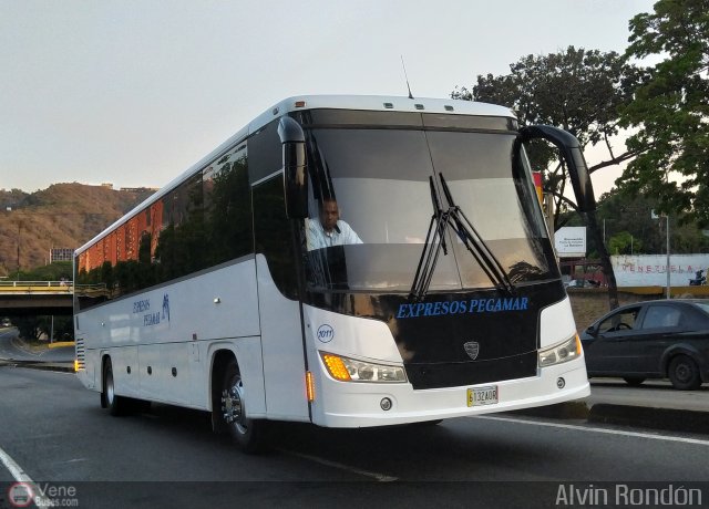 Expresos Pegamar 1011 por Alvin Rond�n