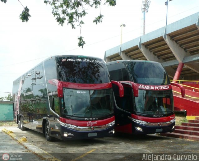 Tigres de Aragua B.B.C. 01 por Alejandro Curvelo