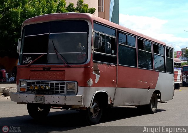 ZU - Los Claveles 09 por �ngel Delgado