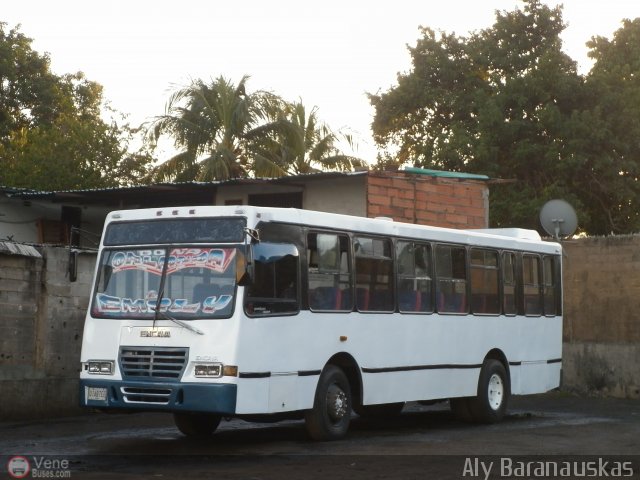 Particular o Desconocido 01 por Aly Baranauskas