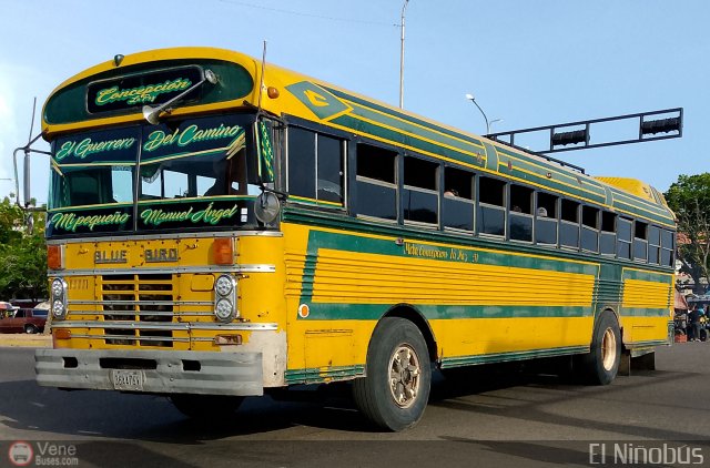 ZU - Colectivos Concepci�n 031 por �ngel Delgado