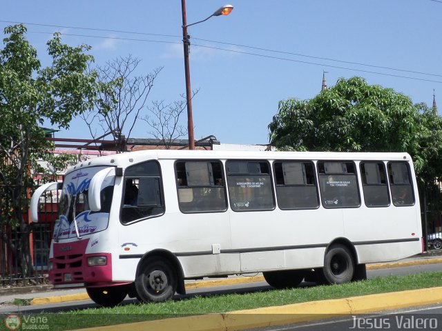 CA - Unin Campo Carabobo 100 por Jess Valero