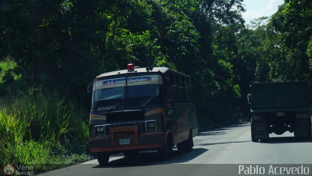A.C. L�nea Libertador 04 por Pablo Acevedo