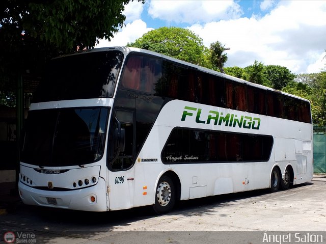 Expresos Flamingo 0090 por �ngel Sal�n