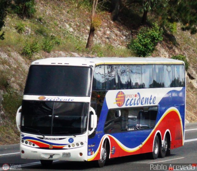 Expresos Occidente 037 por Pablo Acevedo