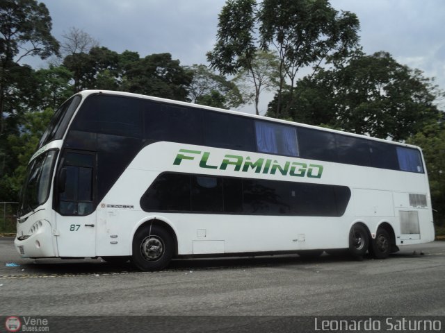 Expresos Flamingo 0087 por Leonardo Saturno