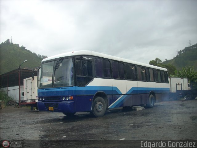 Particular NO USAR M�S KG-0210 por Edgardo Gonz�lez