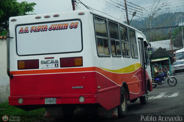 A.C. Flota Jun�n 08 por Pablo Acevedo