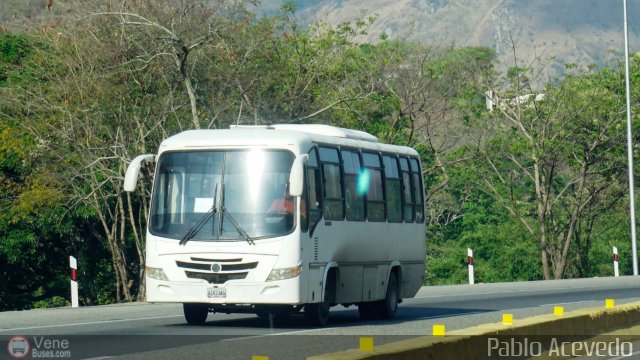 Particular o Desconocido Miranda por Pablo Acevedo