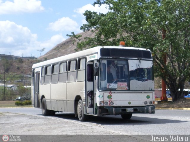 Coop. de Transp. Comunidad de Santa Luc�a 19 por Jes�s Valero