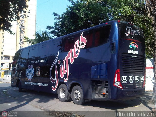 Tigres de Aragua B.B.C. 01 por Eduardo Salazar