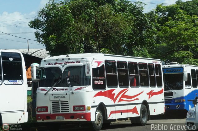 A.C. L�neas Unidas 28 por Pablo Acevedo