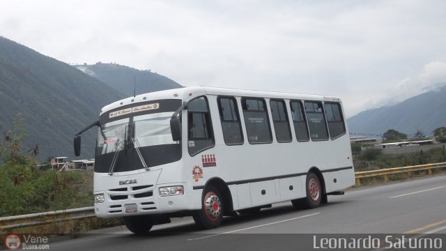 L�nea Los Andes S.C. 047 por Leonardo Saturno