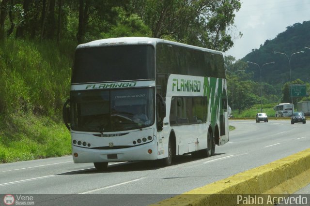 Expresos Flamingo 0220 por Pablo Acevedo