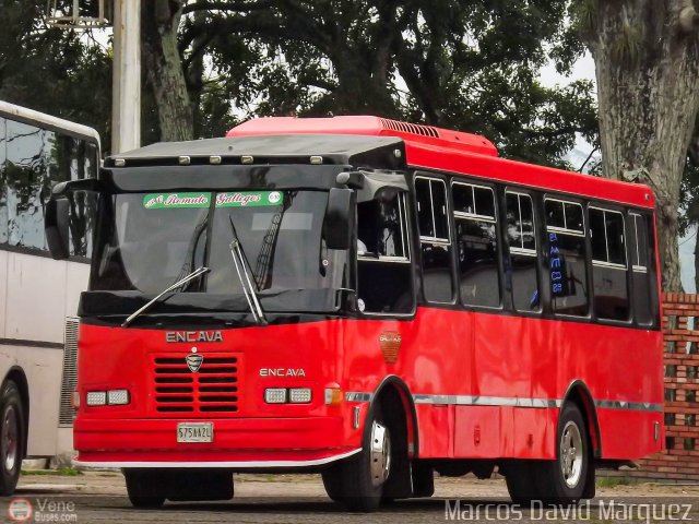 A.C. R�mulo Gallegos 10 por Marcos David M�rquez