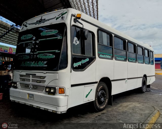 Colectivos La Rosita 011 por �ngel Delgado