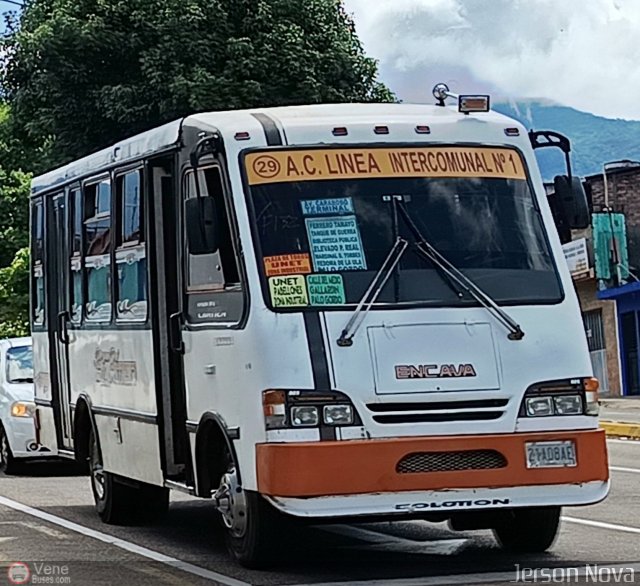 TA - A.C. L�nea Intercomunal 29 por Jerson Nova
