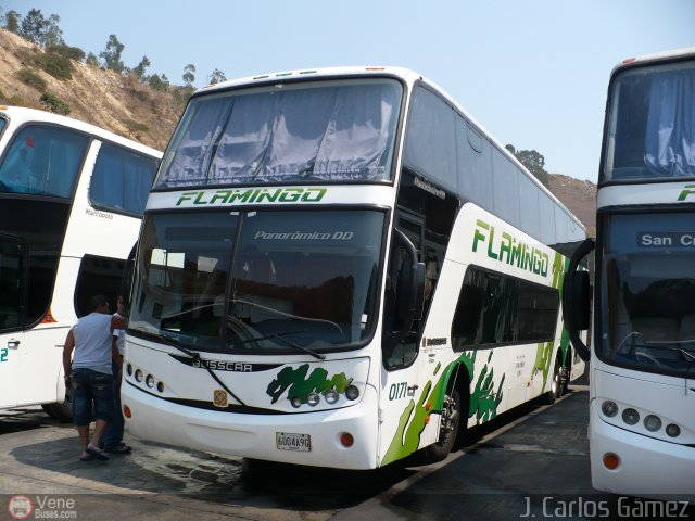 Expresos Flamingo 0171 por J. Carlos G�mez