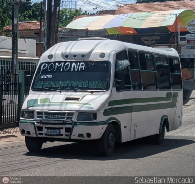 ZU - Colectivo Pomona 10 por Sebastin Mercado
