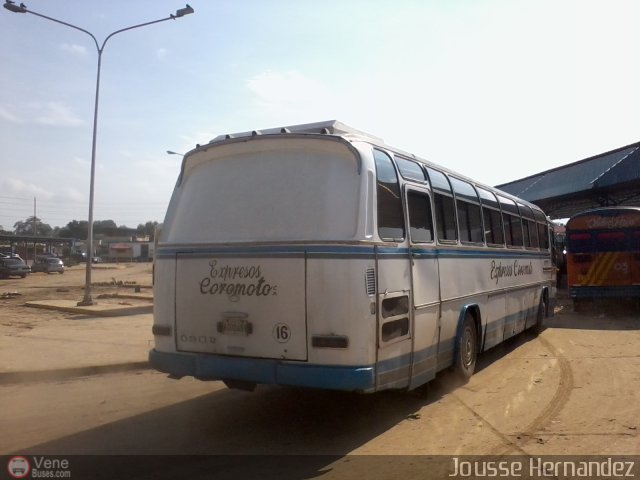 Expresos Coromoto 16 por Jousse Hernandez