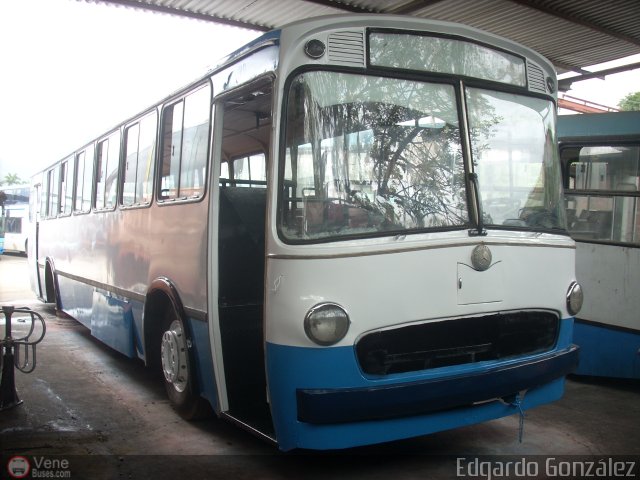 AeroEjecutivos Mary 99 por Edgardo Gonz�lez