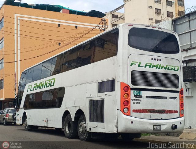 Expresos Flamingo 0341 por Josue S�nchez