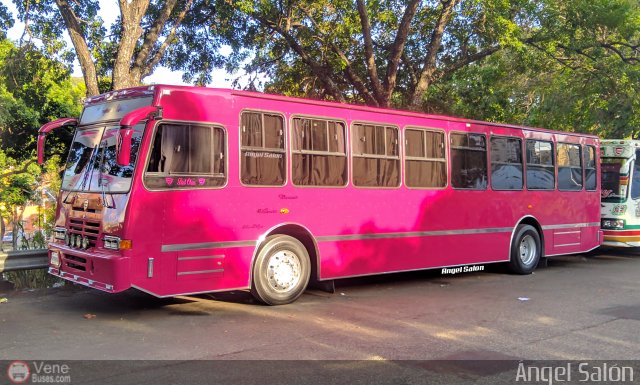 Transporte Unido 018 por ngel Saln