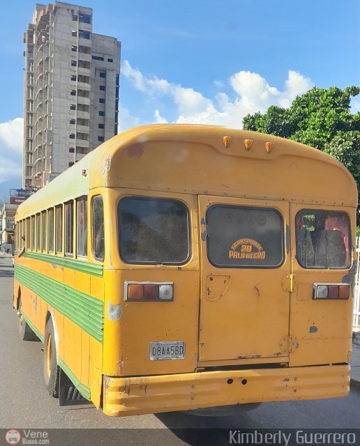 Transporte Palo Negro La Morita 2 020 por Kimberly Guerrero