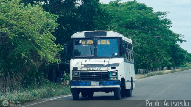 A.C. Uni�n La Redoma 90 por Pablo Acevedo