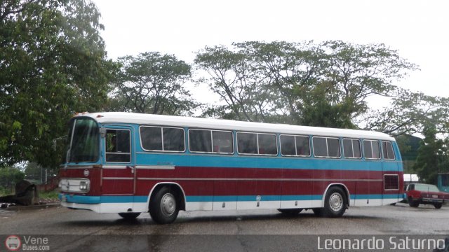 Particular o Desconocido 0002 por Leonardo Saturno