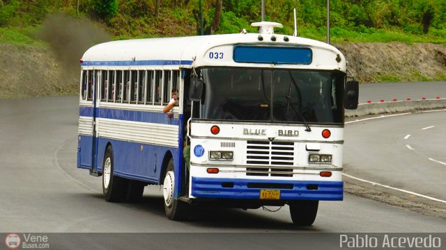 Particular o Desconocido 187 por Pablo Acevedo