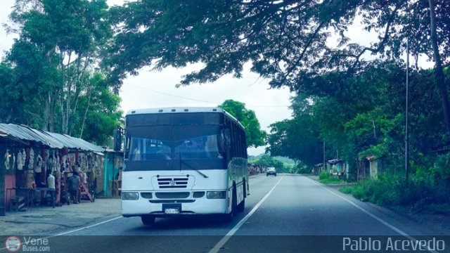 A.C. de Transporte Encarnaci�n 304 por Pablo Acevedo