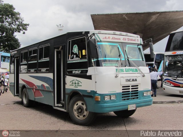 L�nea El Pi�al A.C. 01 por Pablo Acevedo