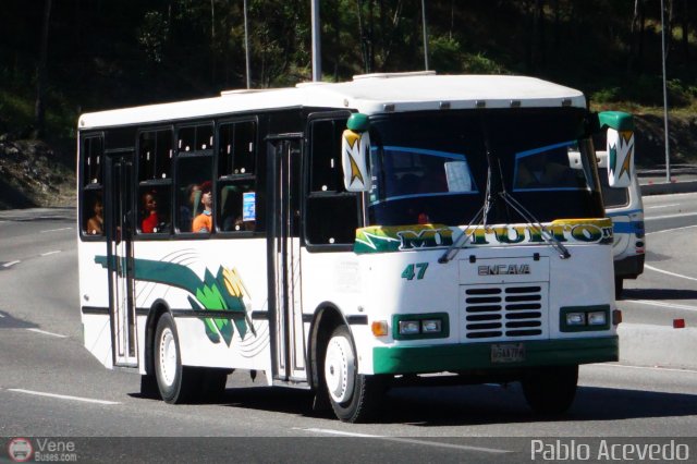 A.C. Indepasib 047 por Pablo Acevedo