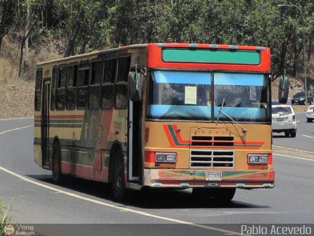 Transporte El Esfuerzo 97 por Pablo Acevedo