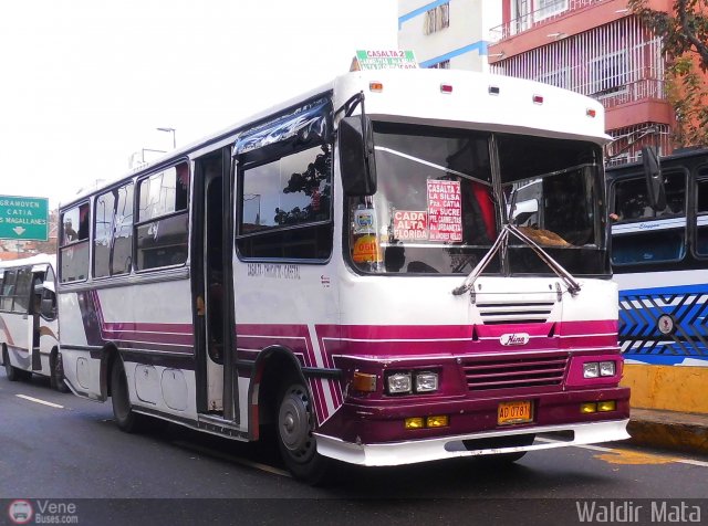 DC - A.C. Casalta - Chaca�to - Cafetal 060 por Waldir Mata