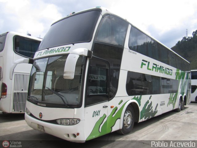 Expresos Flamingo 0141 por Pablo Acevedo