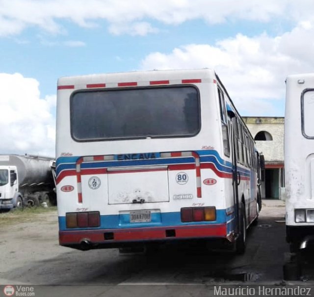 Expresos Nirgua 0041 por Eduard Delgado