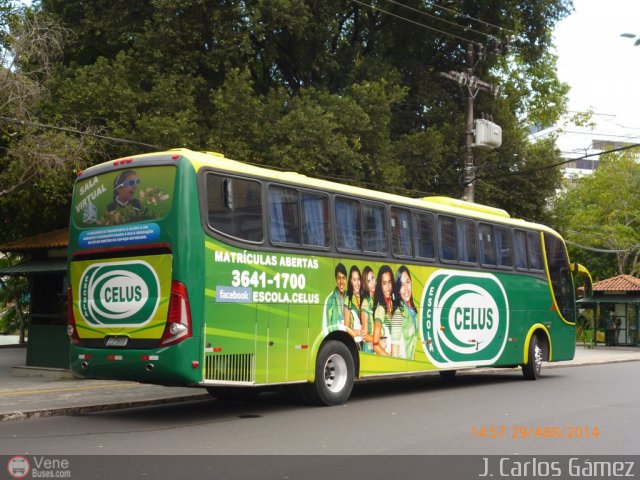 Universitarios y Escolares Celus por J. Carlos G�mez