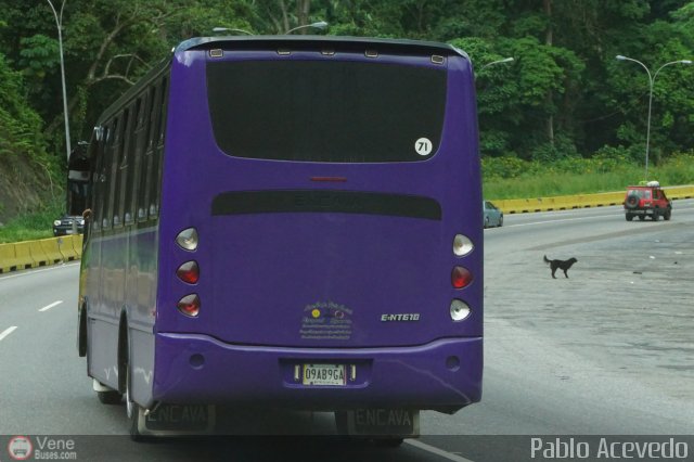 Asociaci�n Cooperativa R.S. Ezequiel Zamora 71 por Pablo Acevedo