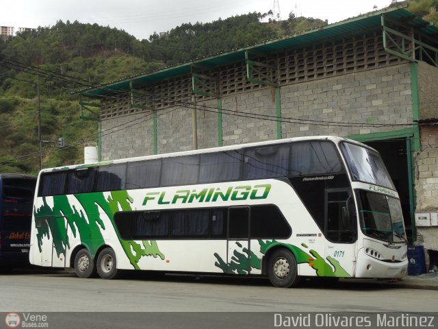 Expresos Flamingo 0171 por David Olivares Martinez