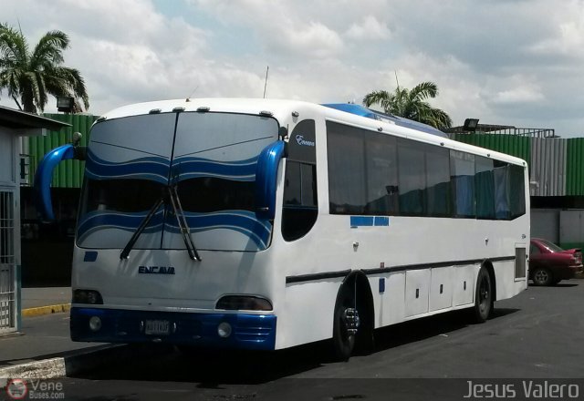 Vencedores Guayana 19 por Jes�s Valero