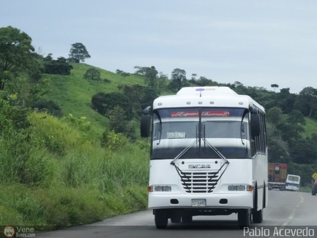 A.C. Expresos Barinas 009 por Pablo Acevedo