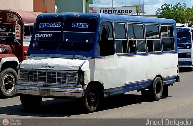 ZU - Asociaci�n Cooperativa Milagro Bus 10 por �ngel Delgado