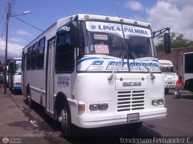TA - A.C. Autos por puesto L�nea Palmira 038 por Yenderson Cepeda